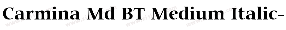 Carmina Md BT Medium Italic字体转换